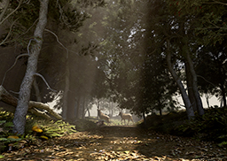 FORET