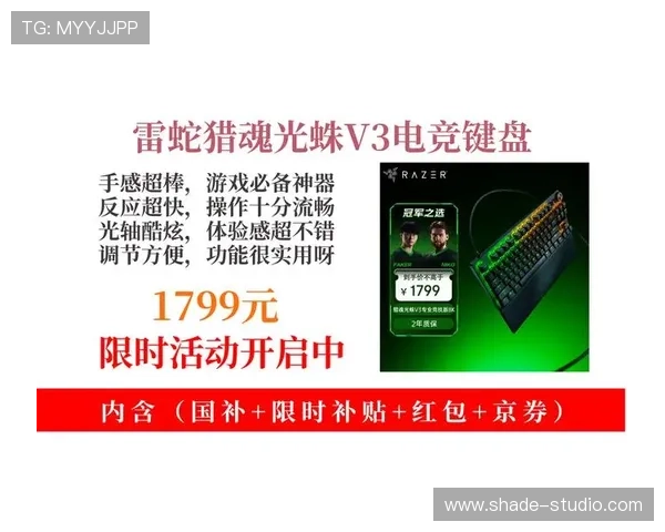 雷竞技电子最新玩法攻略助你轻松掌握高效赢取技巧